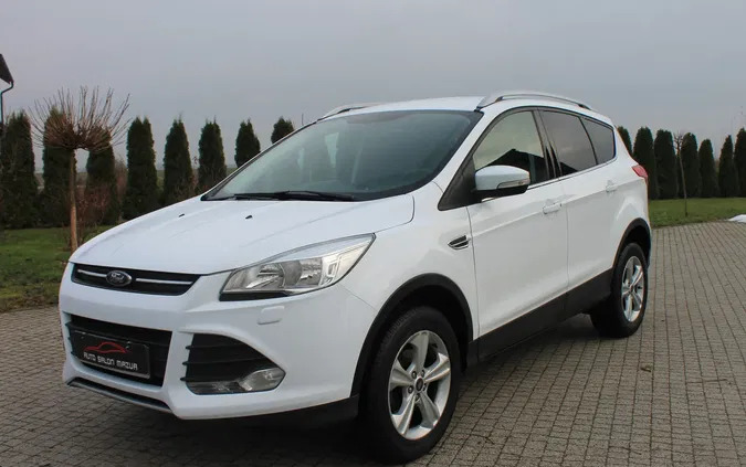 ford kuga proszowice Ford Kuga cena 56900 przebieg: 97000, rok produkcji 2015 z Proszowice